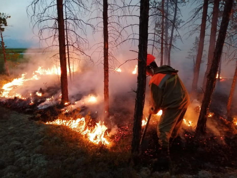 За прошедшие выходные в республике ликвидировано 77 пожаров в зоне контроля