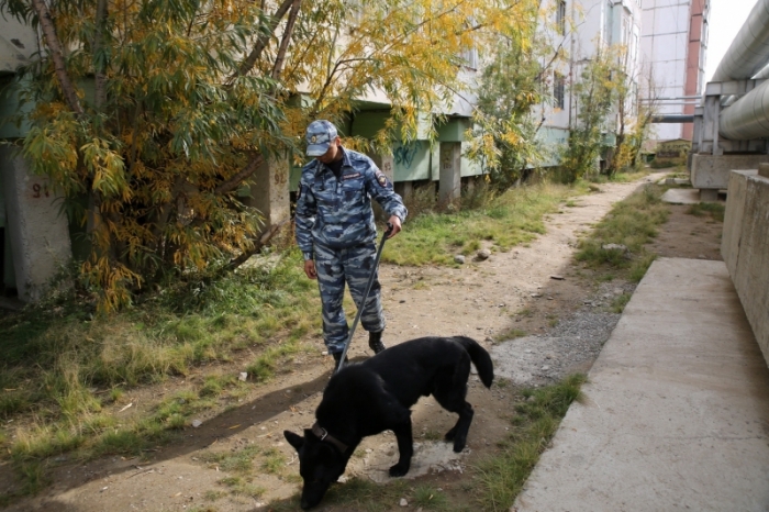 Собака ищейка вывела полицейских на след грабителя в Якутске