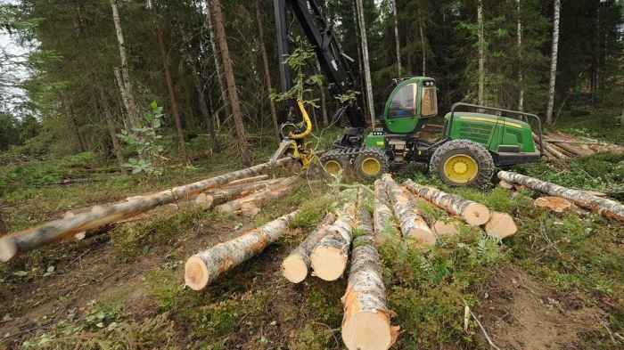 Якутия вошла в число худших регионов по эффективности лесопользования