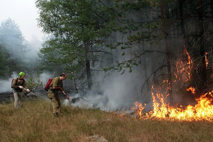 Два лесных пожара в Якутии возникли из-за сельхозпала и сжигания мусора