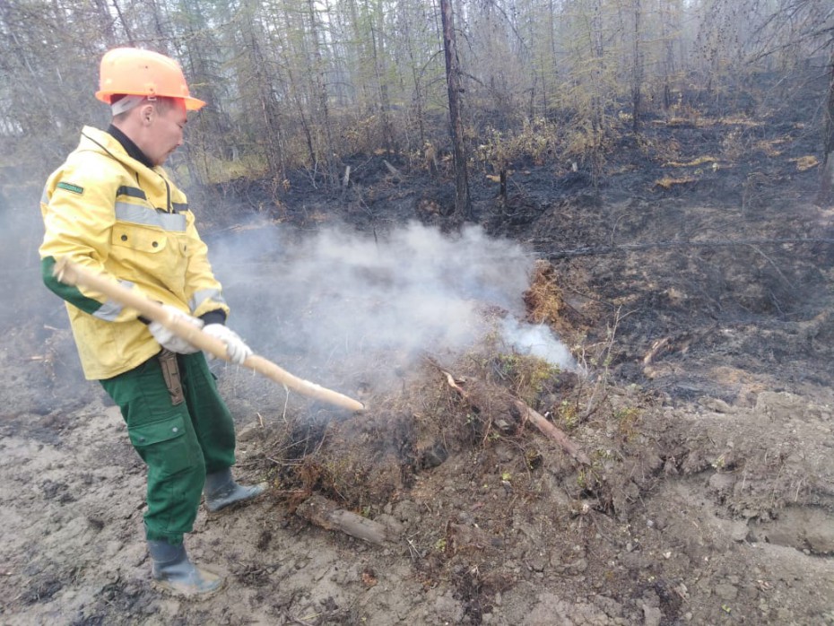 Оперативная информация о лесных пожарах на 29 августа