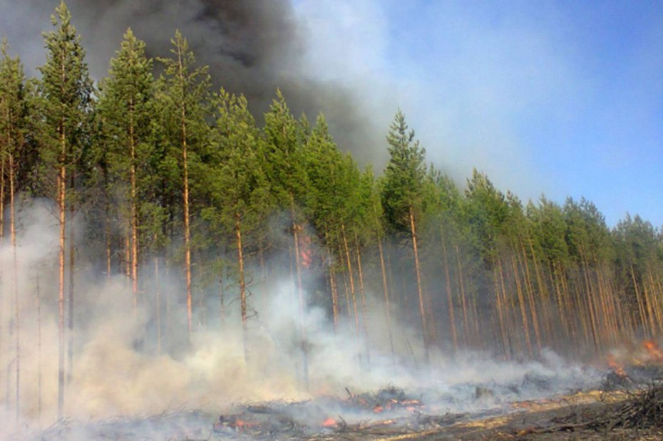 В Якутии тушат лесной пожар в  Абыйском улусе