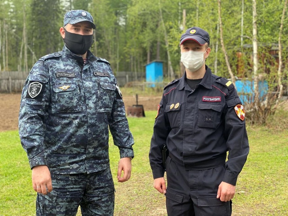 Не стали убивать медвежат, забредших на участок сотрудника Росгвардии в Якутии