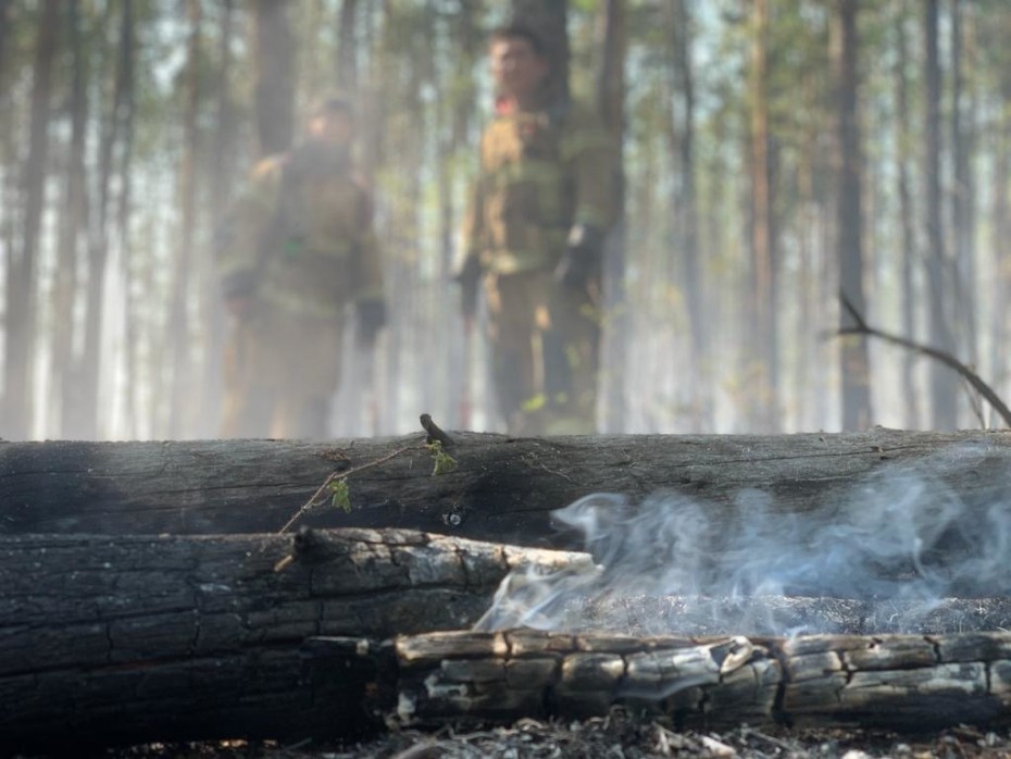 На территории Якутии действует 137 природных пожара