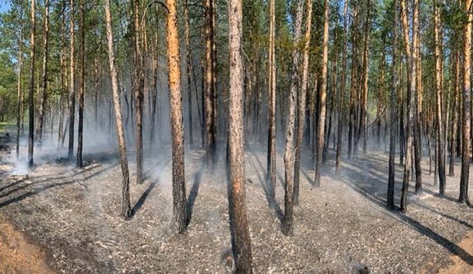 На территории Якутии действует 96 природных пожаров