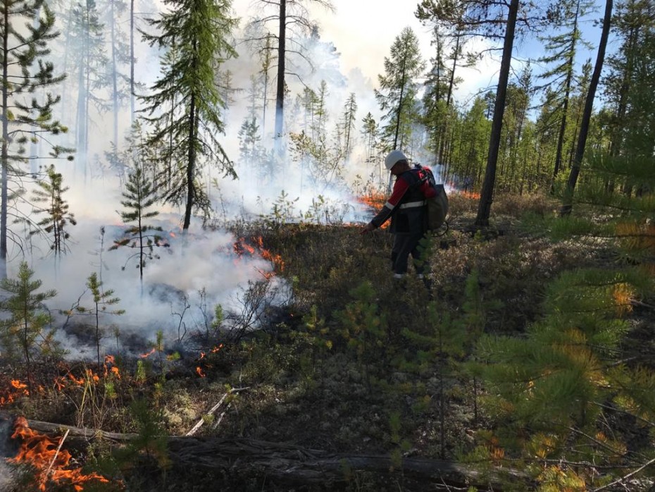 На территории Якутии действует 53 природных пожара