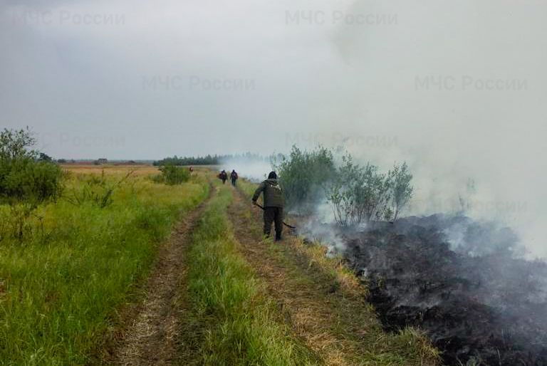 На территории Якутии действует 83 природных пожара