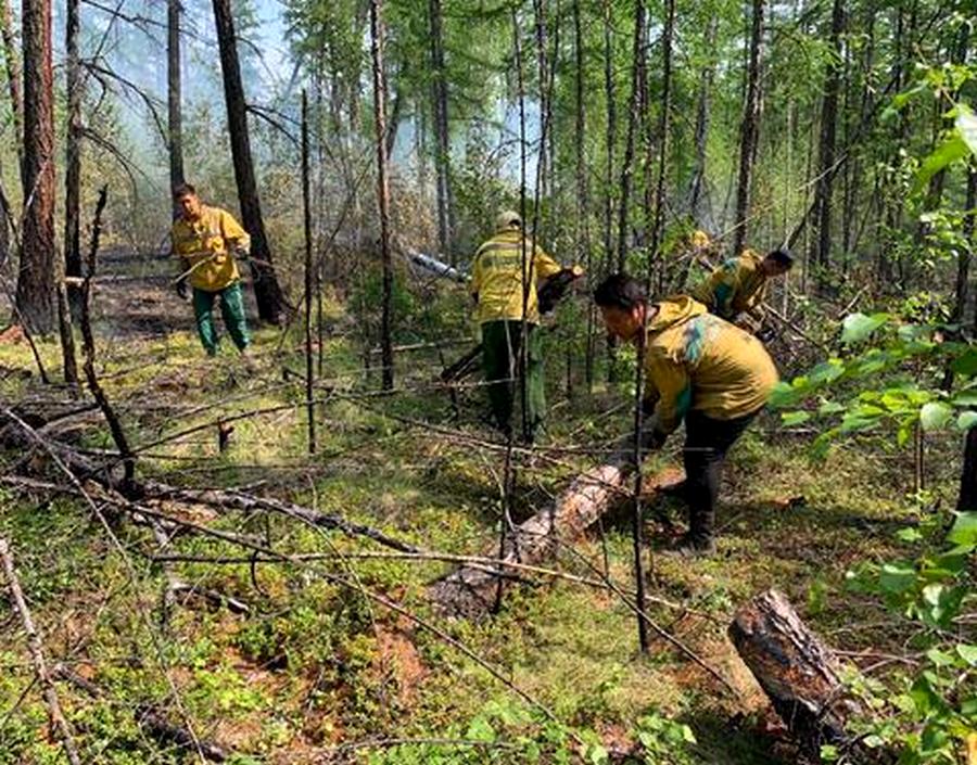 В Якутии тушат 19 лесных пожаров, восемь из них локализованы