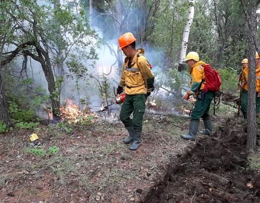 На территории Якутии действует 25 природных пожаров