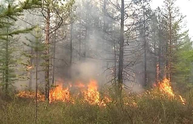 В Якутии наиболее сложная пожароопасная ситуация в Горном районе